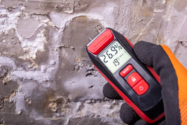 Best Mold Remediation Experts  in Brookhaven, GA