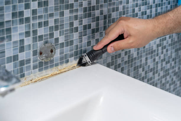 Best Mold Testing  in Brookhaven, GA